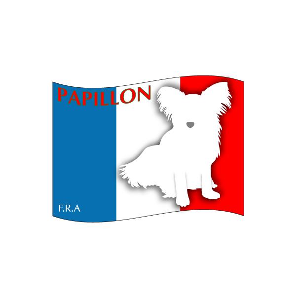 hbOV[XebJ[͂ ps STCY 31Zbg