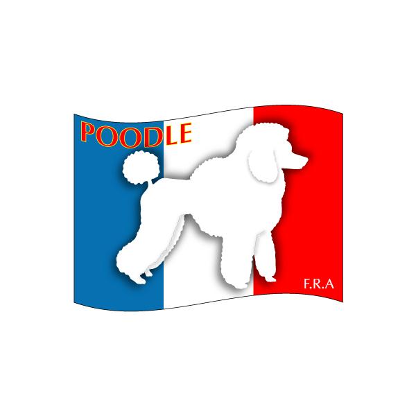 hbOV[XebJ[͂ v[h , gCv[h G  STCY 31Zbg