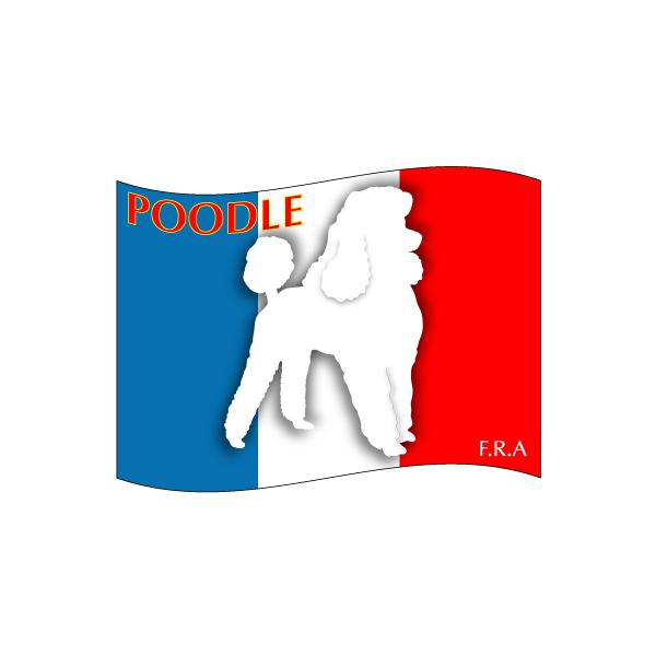 hbOV[XebJ[͂ v[h , gCv[h ΌLTCY