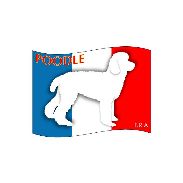 hbOV[XebJ[͂ v[h , gCv[h O  LTCY