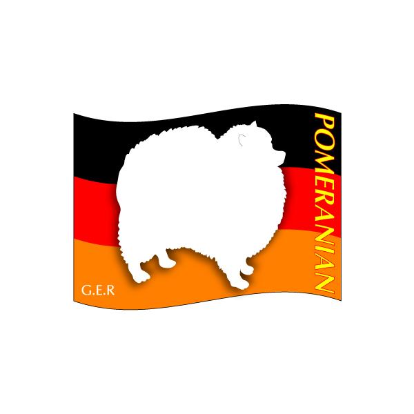 hbOV[XebJ[͂ |jA STCY 31Zbg