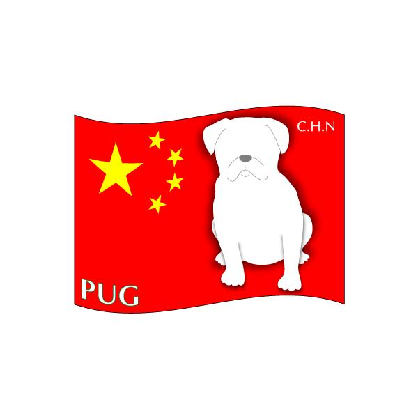 hbOV[XebJ[͂ pO MTCY 21Zbg