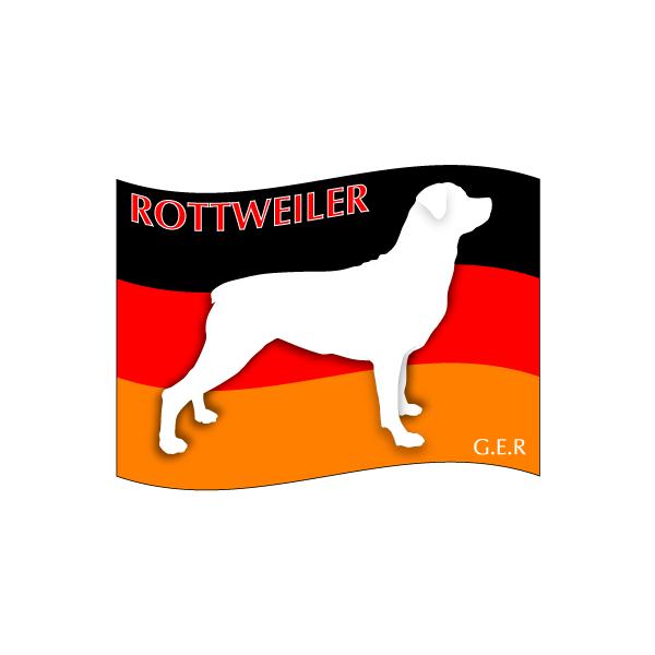 hbOV[XebJ[͂ bgC[ STCY 31Zbg