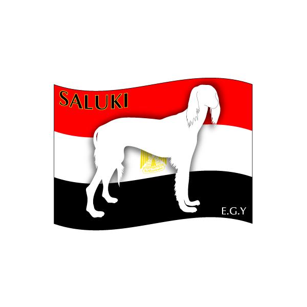 hbOV[XebJ[͂ T[L MTCY 21Zbg