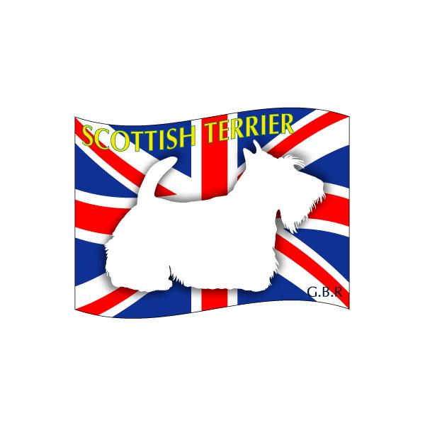 @hbOV[XebJ[͂ XReBbVeA LTCY