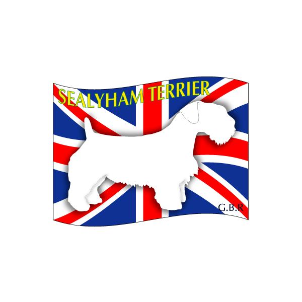 hbOV[XebJ[͂ V[neA MTCY 21Zbg