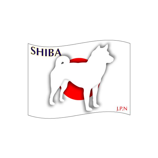hbOV[XebJ[͂  MTCY 21Zbg