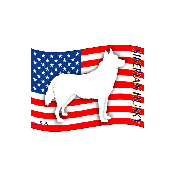 hbOV[XebJ[͂ VxAnXL[ MTCY 21Zbg