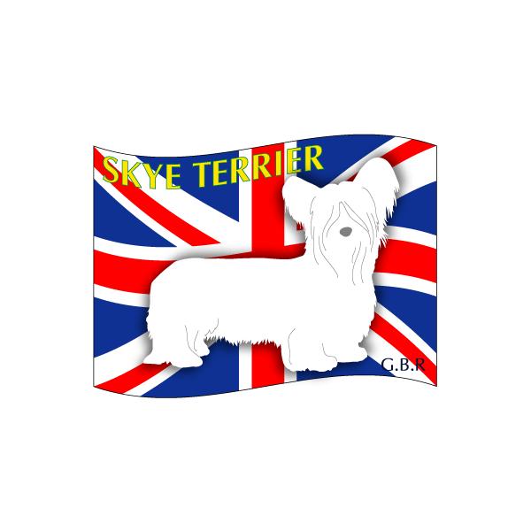 hbOV[XebJ[͂ XJCeA LTCY