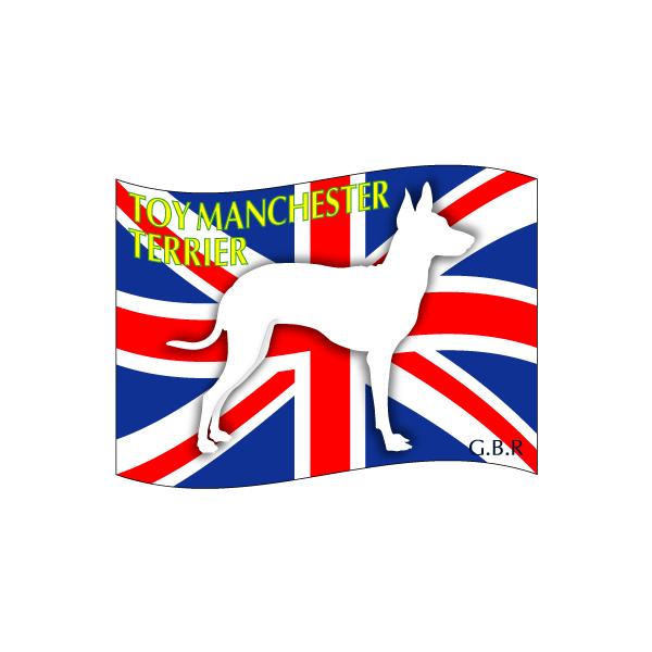 hbOV[XebJ[͂ gC}`FX^[eA LTCY