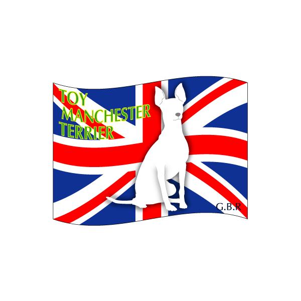 hbOV[XebJ[͂ gC}`FX^[eA STCY 31Zbg