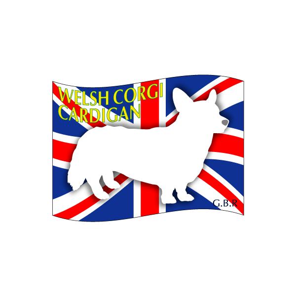 hbOV[XebJ[͂ EFVR[M[J[fBA LTCY