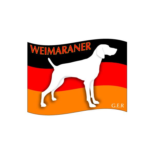 hbOV[XebJ[͂ C}i[ STCY 31Zbg