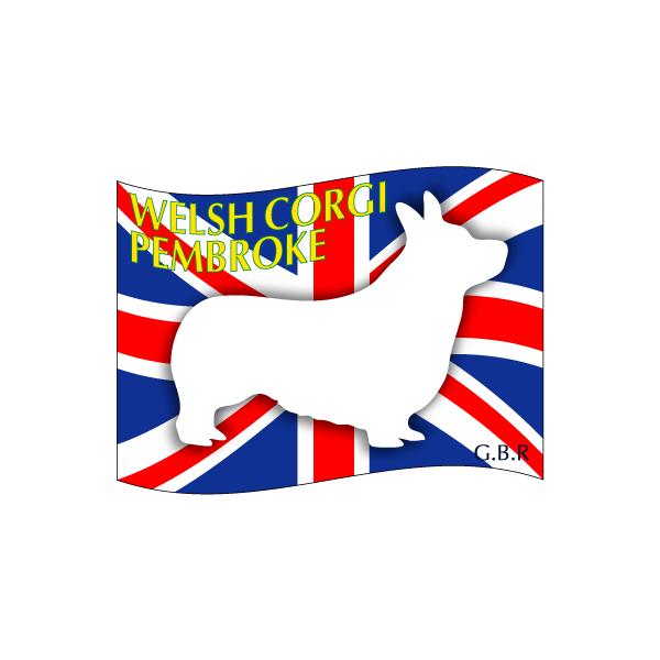 hbOV[XebJ[͂@EFVR[M[yu[N@STCY 31Zbg