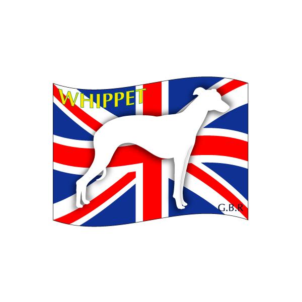 hbOV[XebJ[͂ EBybg STCY 31Zbg