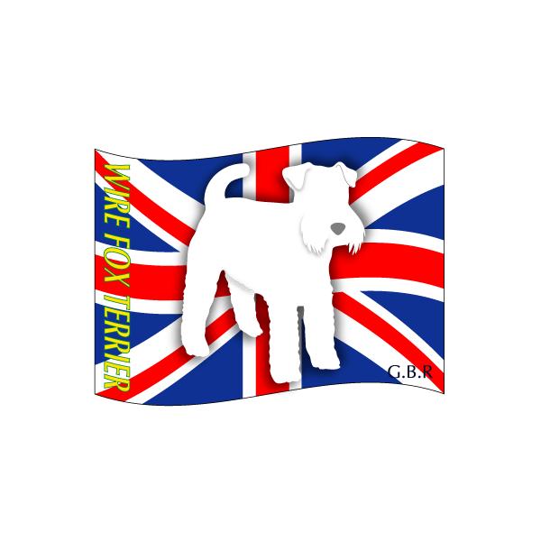 hbOV[XebJ[͂ C[tHbNXeA MTCY 21Zbg