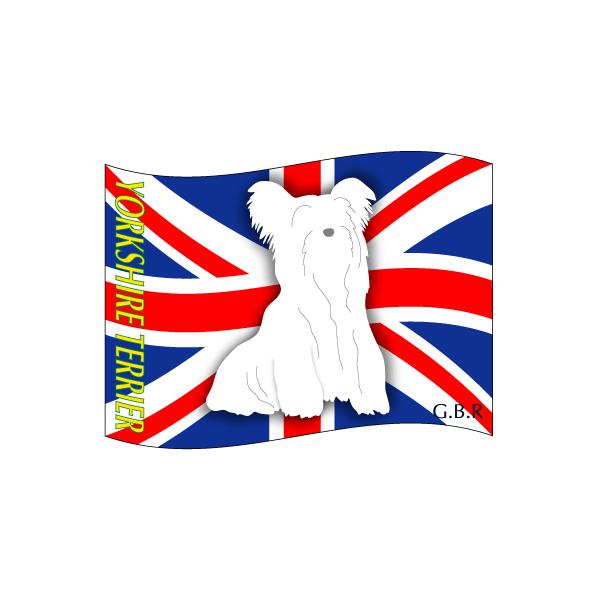 hbOV[XebJ[͂ [NV[eA STCY 31Zbg