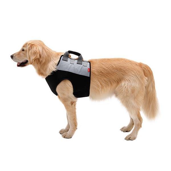  s⏕n[lX  n[lX  LaLaWalk EH[N xXg VbNO[ SS/S/M/L V pi hbOn[lX p ⏕ s⏕