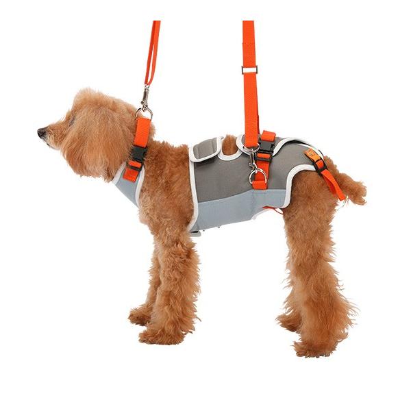  s⏕n[lX  n[lX  LaLaWalk EH[N ^ O[wIW SEMEL