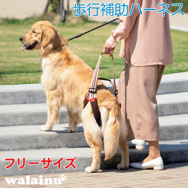 犬 歩行補助ハーネス 介護 ハーネス 胴輪 LaLaWalkSTEP ララウォーク フレンチカフェオレ (中、大型犬用)