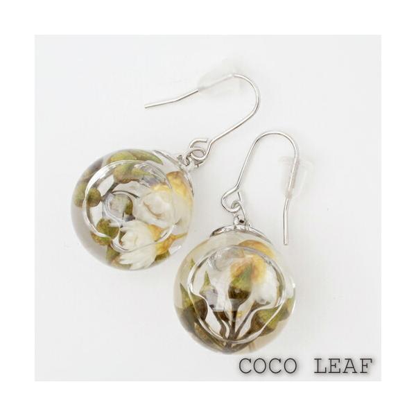 n[oE sAX t[  hCt[ O[OOVA [J̎  KXh[ fB[X CO COCO LEAF