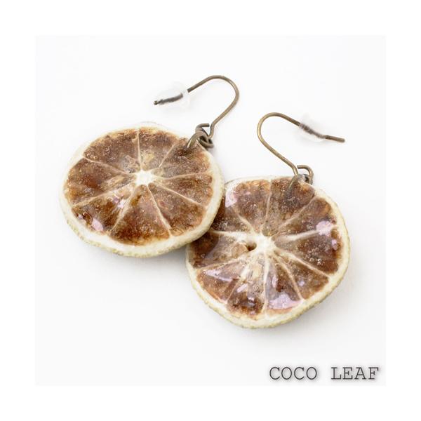 VRf sAX   X_` Rfށ@킢 p nhCh Vv ANZT[  fB[X COCO LEAF