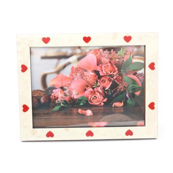 C^A i^[jnhCh  ʐ^ tHgt[ ʐ^  ؐ xK  zCg  bh n[g CeA@EFJ{[h