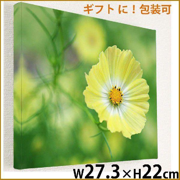 アートパネル 花のファブリックパネル 玄関インテリア コスモス 壁掛け