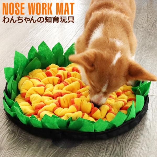 m[Y[N  mߋ  m[Y[N}bg ybg ybg  ybgpi mgC ^s XgX  koP A