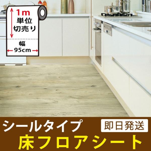  CNV[g  t[O h~ V[^Cv ؖ tAV[g Ebh reform CNV[ tH[ F