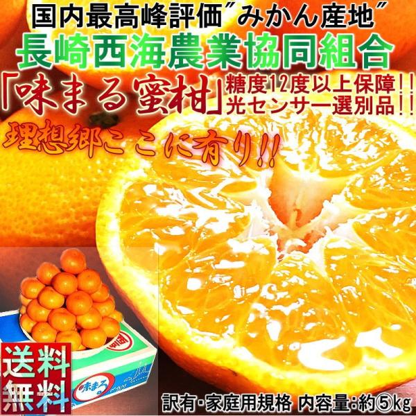 ݂ ܂ 5kg 茧Y 󂠂i JAȂC ZT[Iʂœx12xۏIXlC̃uhȉiłz