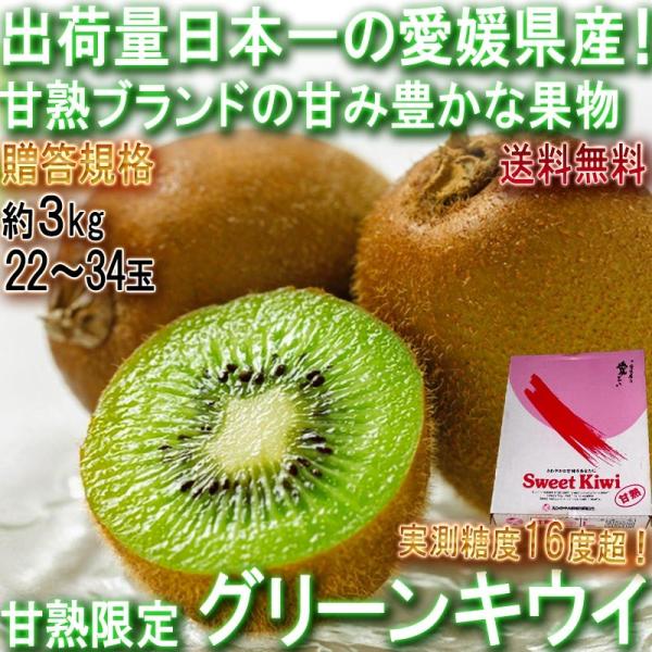 Yn ÏnO[LEC 3kg 22`34 QY Ki JAi oחʑS1ʂ̈QLECt[cIx16x̔LEC