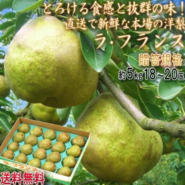 Yn tX m 5kg 18`20 R`Y Gi \ miVoחʓ{̎R`IΕɎg鍂iȉʕ