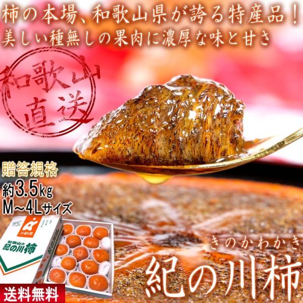 Yn Im` 햳JL 3.5kg M`4LTCY Ki a̎RY ϔ EaŔZȊÂIW[V[ȍʓɔQ̖킢 