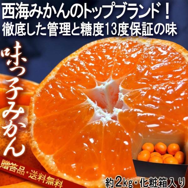 q C݂ 2kg 茧Y Ki JAȂC ZT[Iʕi x13xۏ؁E_w̃MtgIgbvuh̍t[c