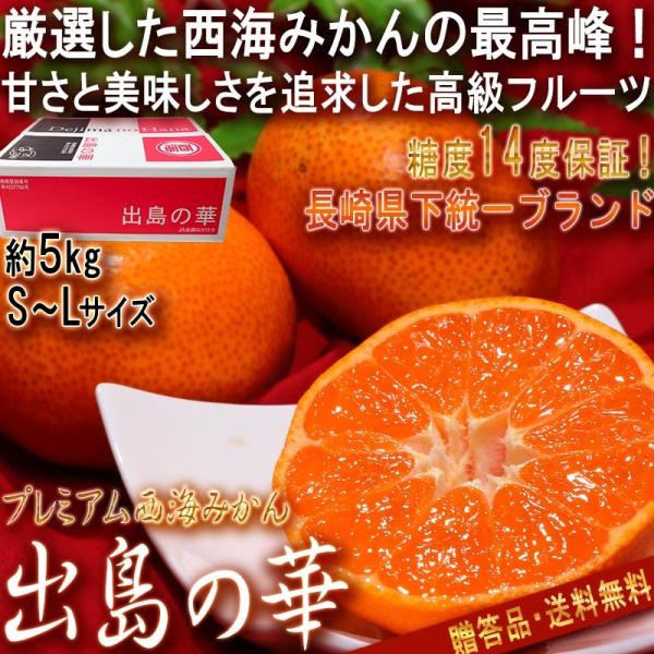 ỏ v~AC݂ 5kg 2S`LTCY 茧Y Ki x14xۏ؂̍t[cIIɌId˂ō̖