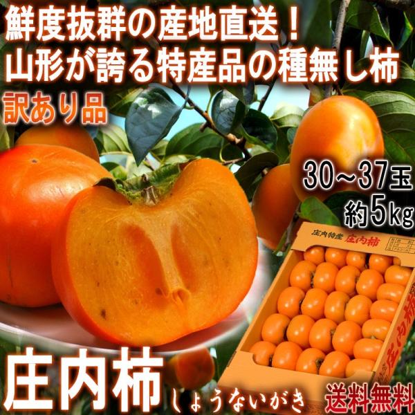 Yn ` 5kg 30`37 R`Y 󂠂i 햳Eaς R`ւYiIQ̑NxƂ܂₩ȊÂ 