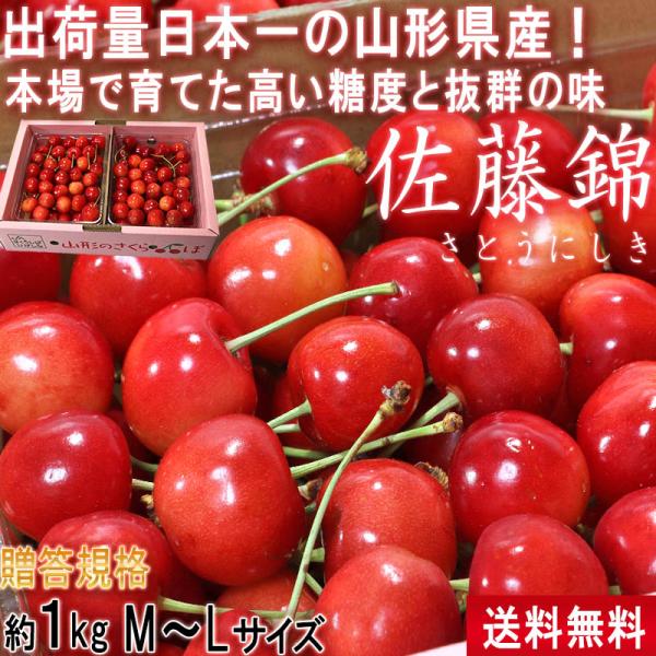 佐藤錦 さくらんぼ 約1kg M〜Lサイズ 贈答規格 山形県産 秀品 本場で育てた新鮮な果実に抜群の味！栄養豊富な旬のギフトフルーツ