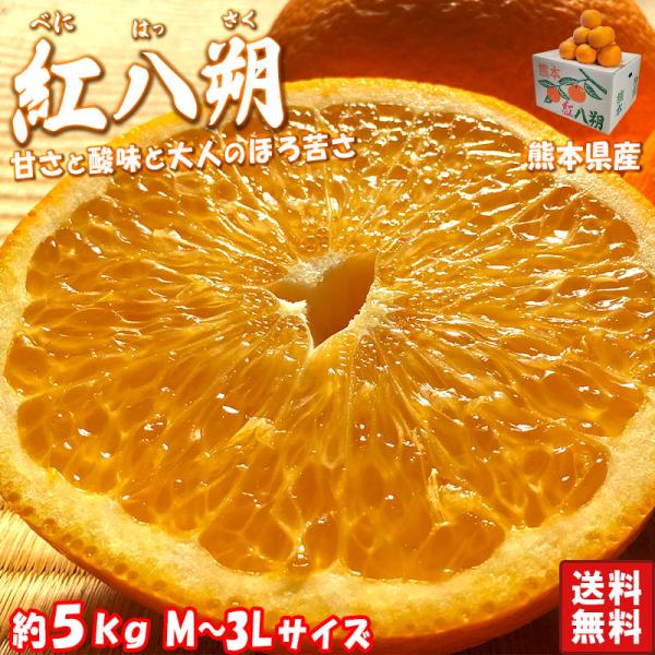 紅八朔 べにはっさく 訳あり品 約5kg M〜3Lサイズ 熊本県産 上品な甘さとほろ苦さで昔ながらの味わい！