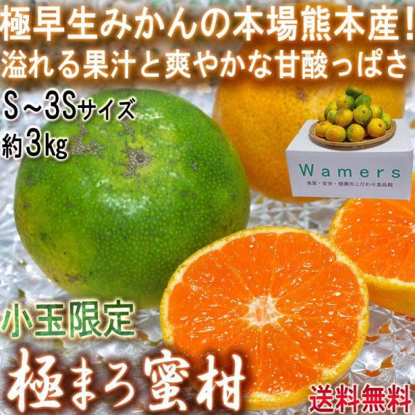 ɂ܂떨 O[B݂ 3kg S`3STCY ʌ F{Y l_ƎYS ɑ~J̐nAF{YI΂̉ʎɖLxȉʏ`Ƒu₩ȊÂ