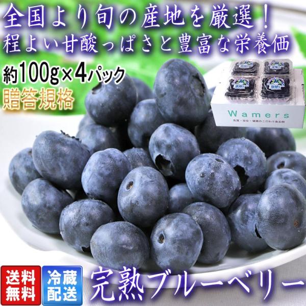 完熟ブルーベリー 約100g×4パック L〜3Lサイズ 静岡県産中心