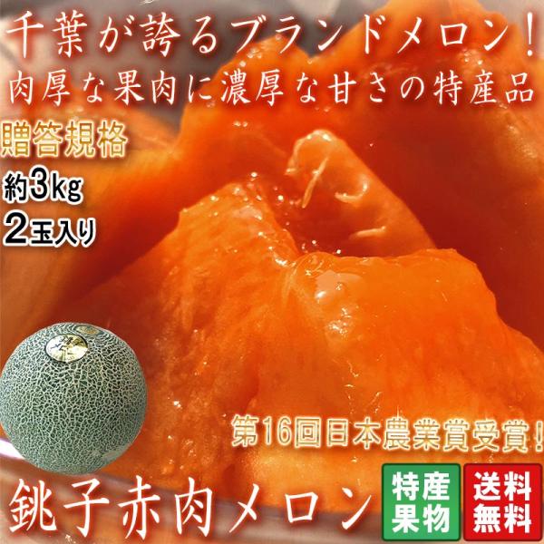 銚子メロン 赤肉厳選 約3kg 2玉入り 千葉県産 贈答規格 大玉限定