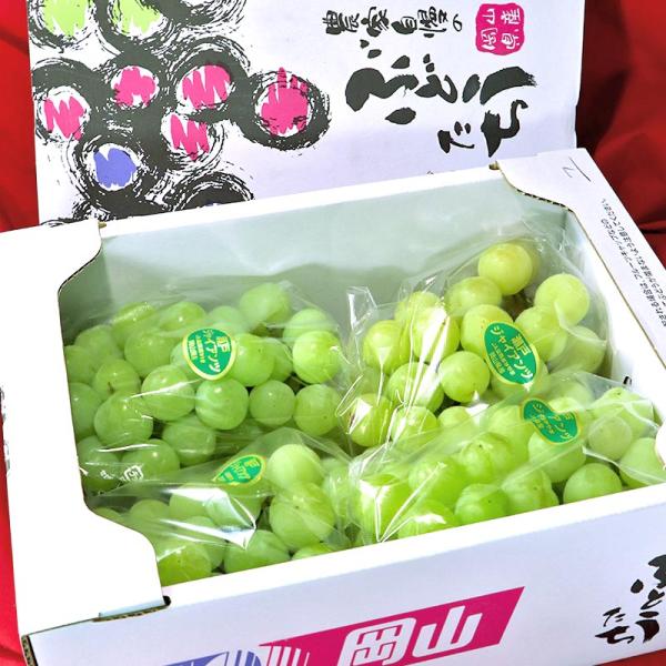 瀬戸ジャイアンツ 白ぶどう 約1kg 2〜3房 岡山県産 贈答規格 JA共撰品 皮ごと食べる高級葡萄！パリっとした食感と甘さが魅力のギフトフルーツ ブドウ