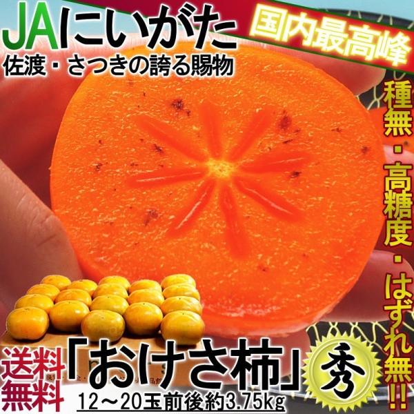 ` 햳` 3.75kg VY Ki Gi ZȊÂ̂˂Ȃ`I_őIʂiȓYi 