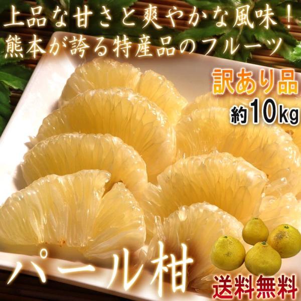 訳あり パール柑の人気商品・通販・価格比較 - 価格.com 訳あり パール柑の人気商品・通販・価格比較 - 価格.com