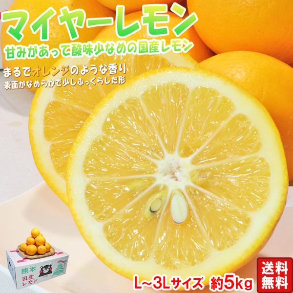 国産レモン マイヤーレモン 約5kg L〜3Lサイズ 熊本県産・愛媛県 国産レモン マイヤーレモン 約5kg L〜3Lサイズ 熊本県産・愛媛県