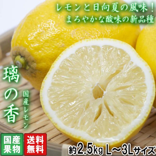 国産レモン 璃の香 約2.5kg L〜3Lサイズ 大玉 高知県産 新品種の