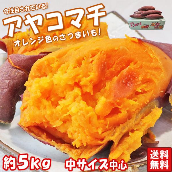 [Release date: October 30, 2022]◆インパクト抜群のオレンジ果肉「アヤコマチ」！　カボチャやにんじんのようなオレンジ色の中身が特徴で、　華やかな見栄えで注目されているさつまいもです。　見栄えだけでなく味の観点で...
