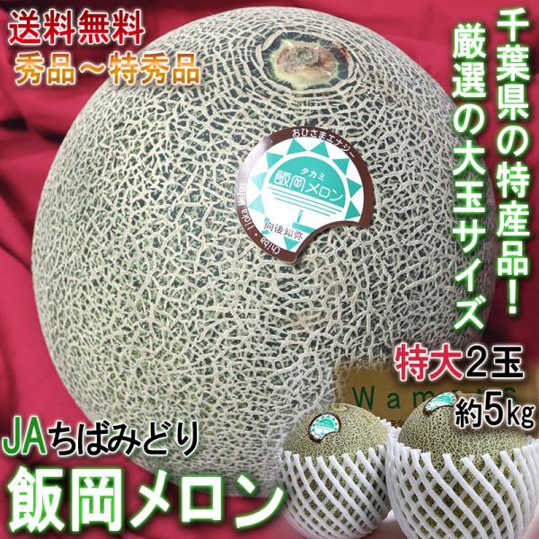 飯岡メロン 2玉入り 約4〜5kg 超大玉 秀品〜特秀品 贈答品 タカミ種 千葉県産 JA千葉みどり 貴味メロン 千葉特産・高糖度のギフトメロン！