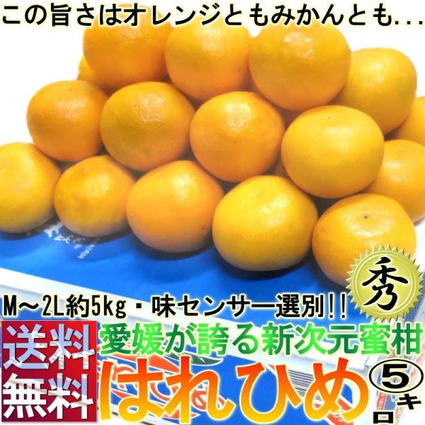 ͂Ђ 5kg L`2LTCY Ki QY IW̍Ƃ݂̔I